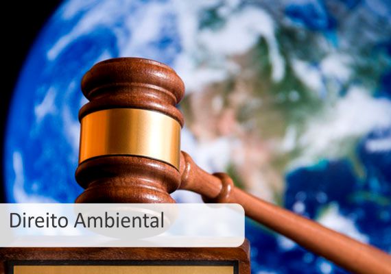 Direito ambiental � um ramo do direito, constituindo um conjunto de princ�pios jur�dicos e de normas jur�dicas voltado � prote��o jur�dica da qualidade do meio ambiente. 